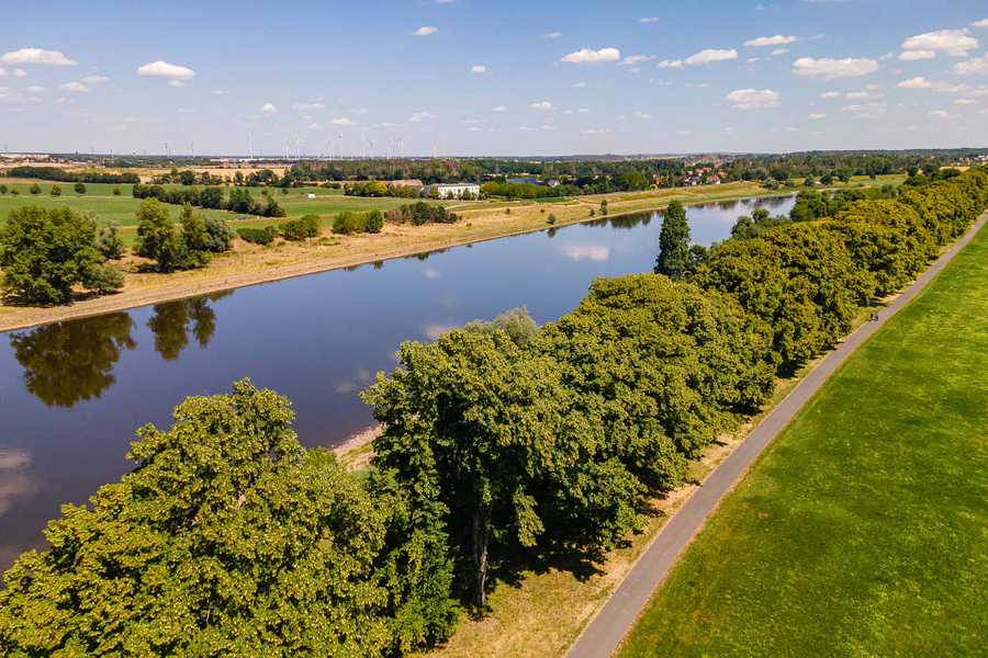 Die Elbe bei Riesa