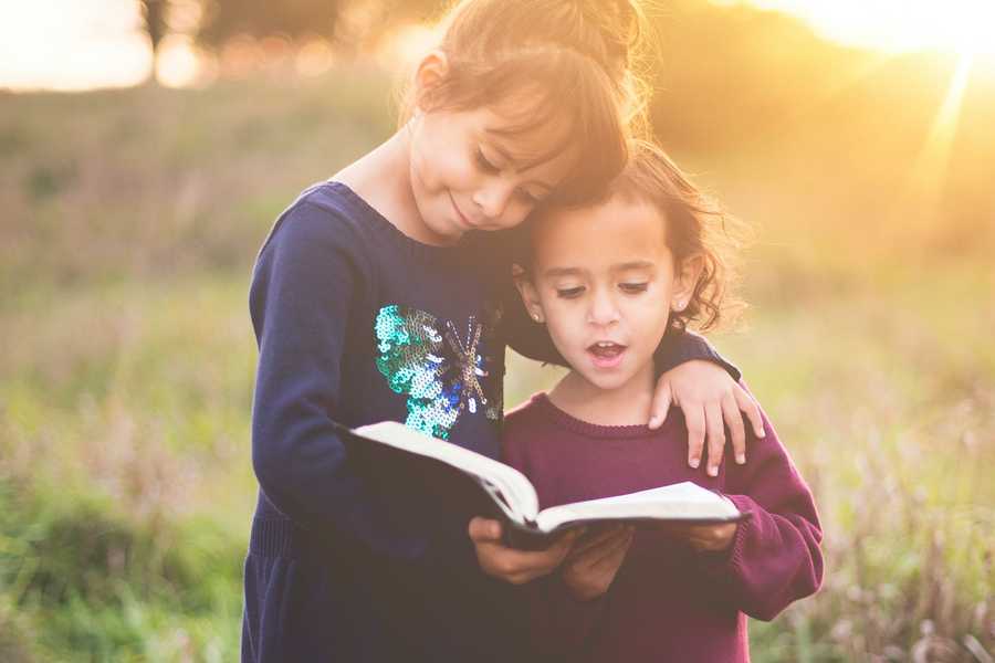 Zwei kleine Mädchen stehen im Sonnenschein auf einer Wiese und schauen gemeinsam in ein Buch.
