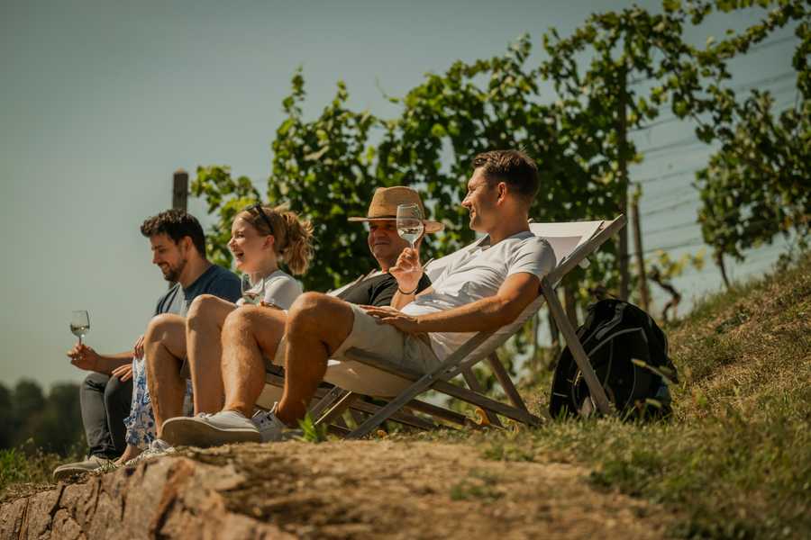 Weinvielfalt hautnah erleben - an den Tagen des offenen Weingutes